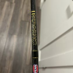 Penn Carnage 2 Rod