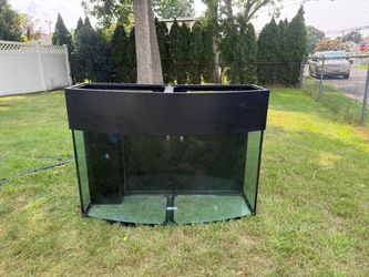 Large Bow Front Glass Aquarium Tank