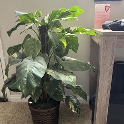 Fake Plant 