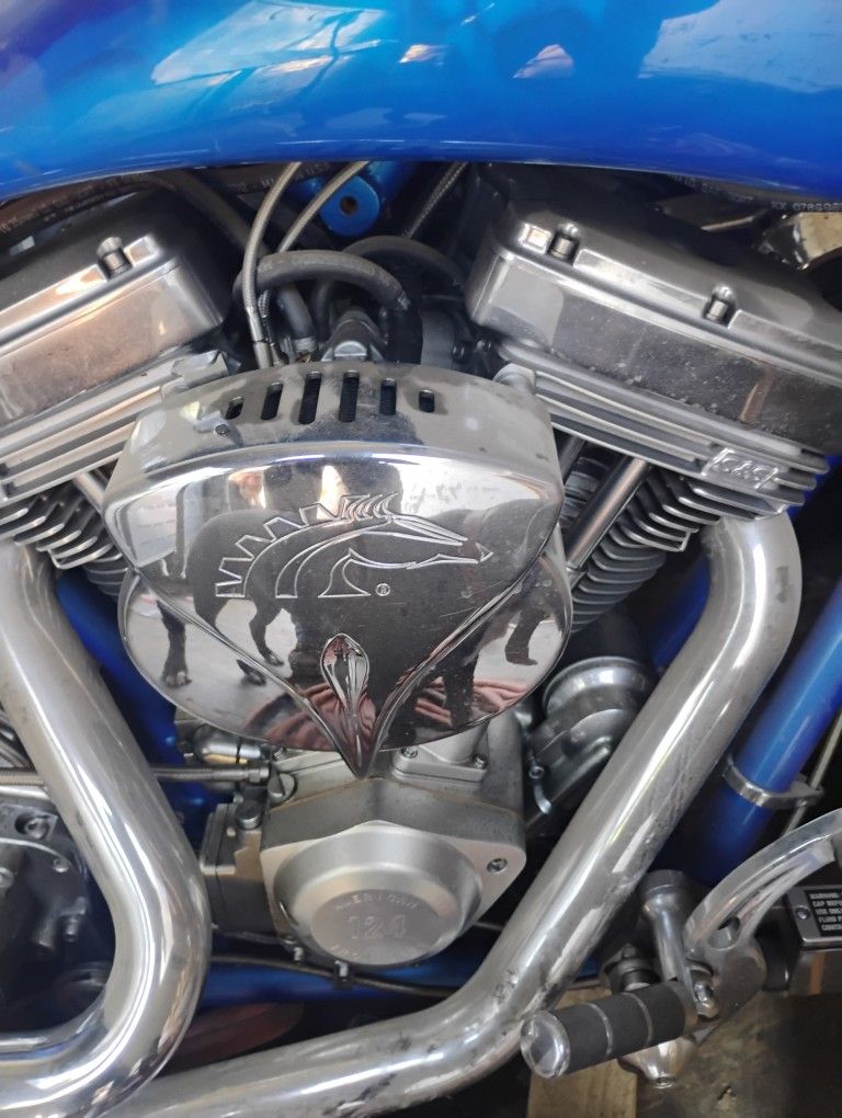 124inchcustom Arlin Ness Bikee