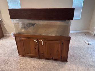 Large Aquarium with Wooden Stand and Canopy