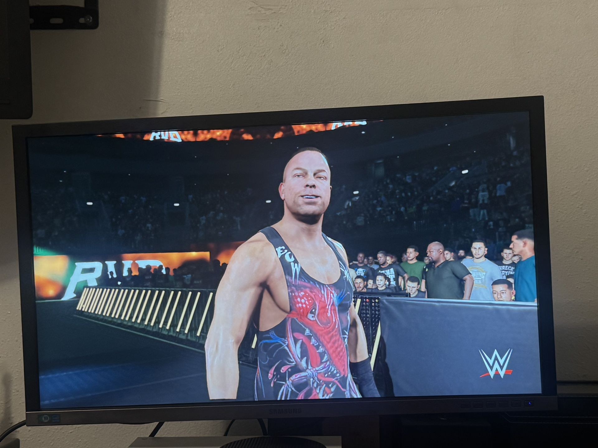 Samsung Computer Monitor 