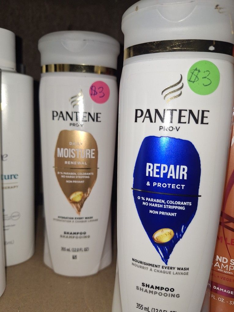 Pantene Shampoo