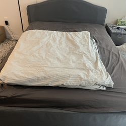 Free Queen Size Mattress (pick up at 1/18)