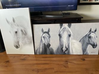 Canvas Photos