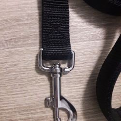 Dog leash + collar