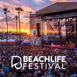 Beach Life Festival • Saturday • $140 Each
