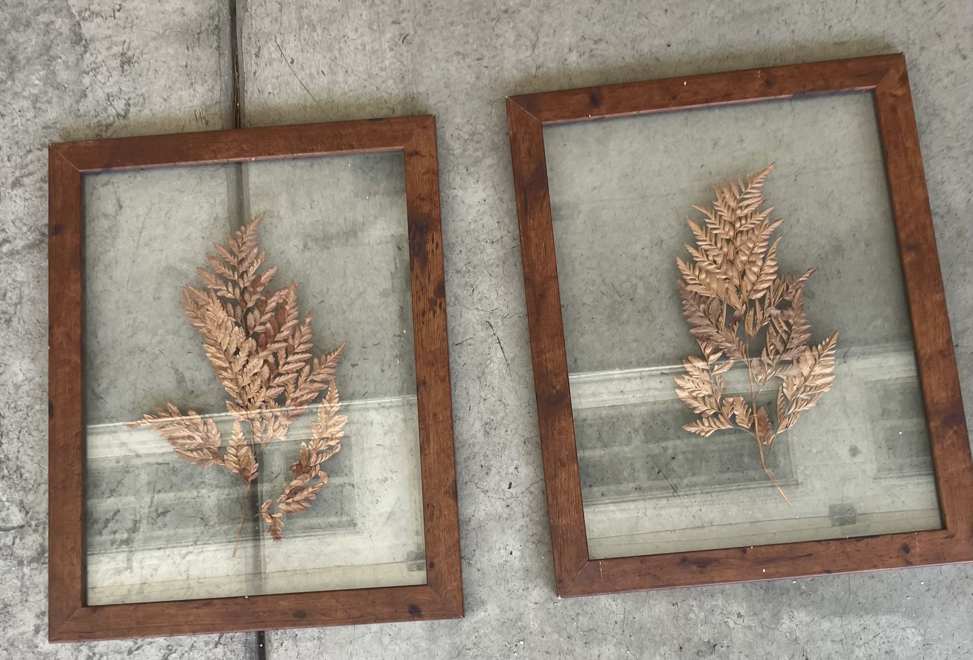 Pressed Leaves In Glass Wall Art
