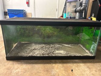 tank for 15