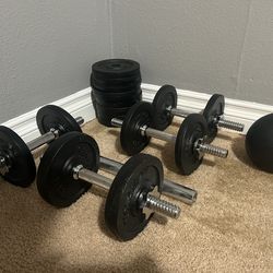 Weights / Dumbbells