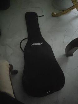 Acustic Guitar gig case $20.