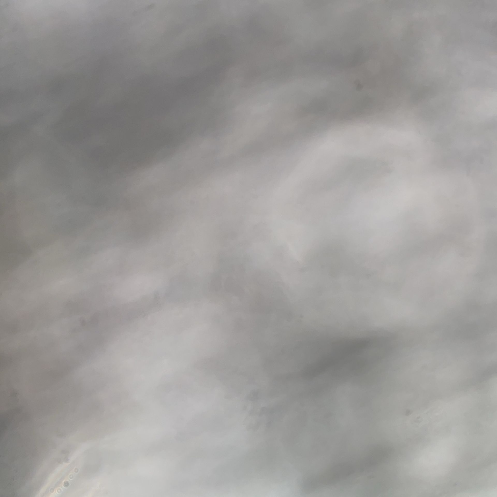 Got It For The Low 📱11