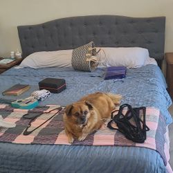Bed Frame (Headboard Included)