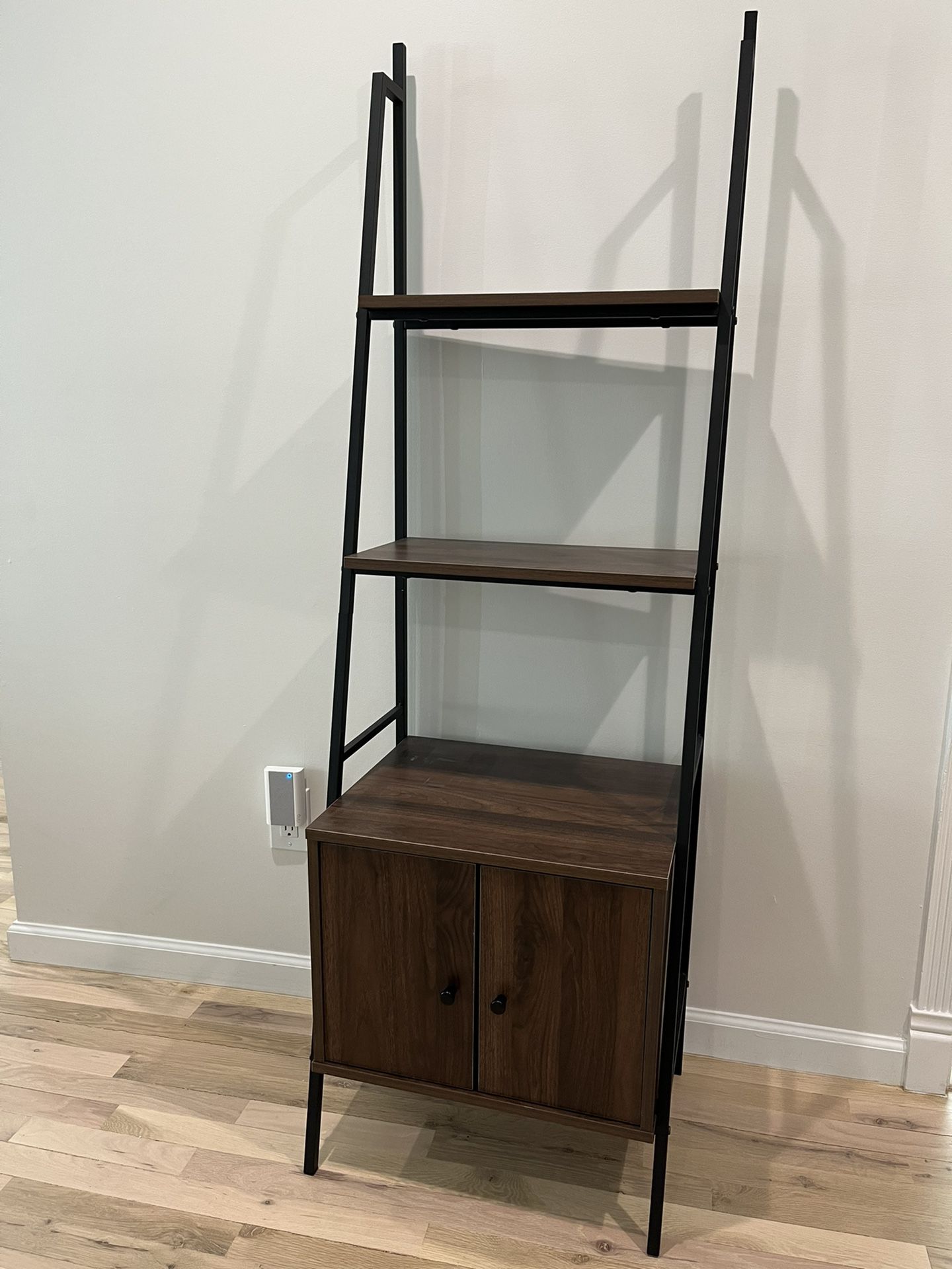 Ladder Shelf with Storage