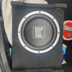 10 Inch Subwoofer 