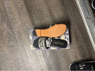 DIOR SLIDES