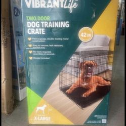Dog Training Xl