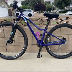 Specialized Elite Flat Bar Road Bike