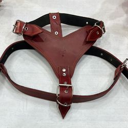 Harness For Dog