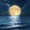 Lunaa