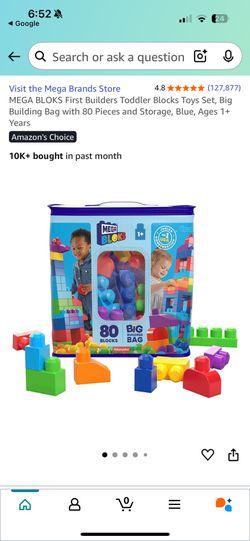 Mega Bloks First Builders Big Building Bag.
