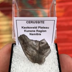 Zebra-Stripe Cerussite Specimen In Acrylic Display Perky Box