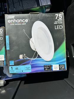 Feit Electric LED Recessed Lights