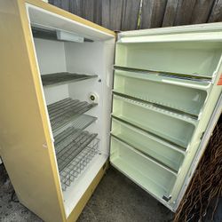 Vertical Working Freezer 