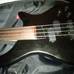 Fretless Bass Model Rogue Series III