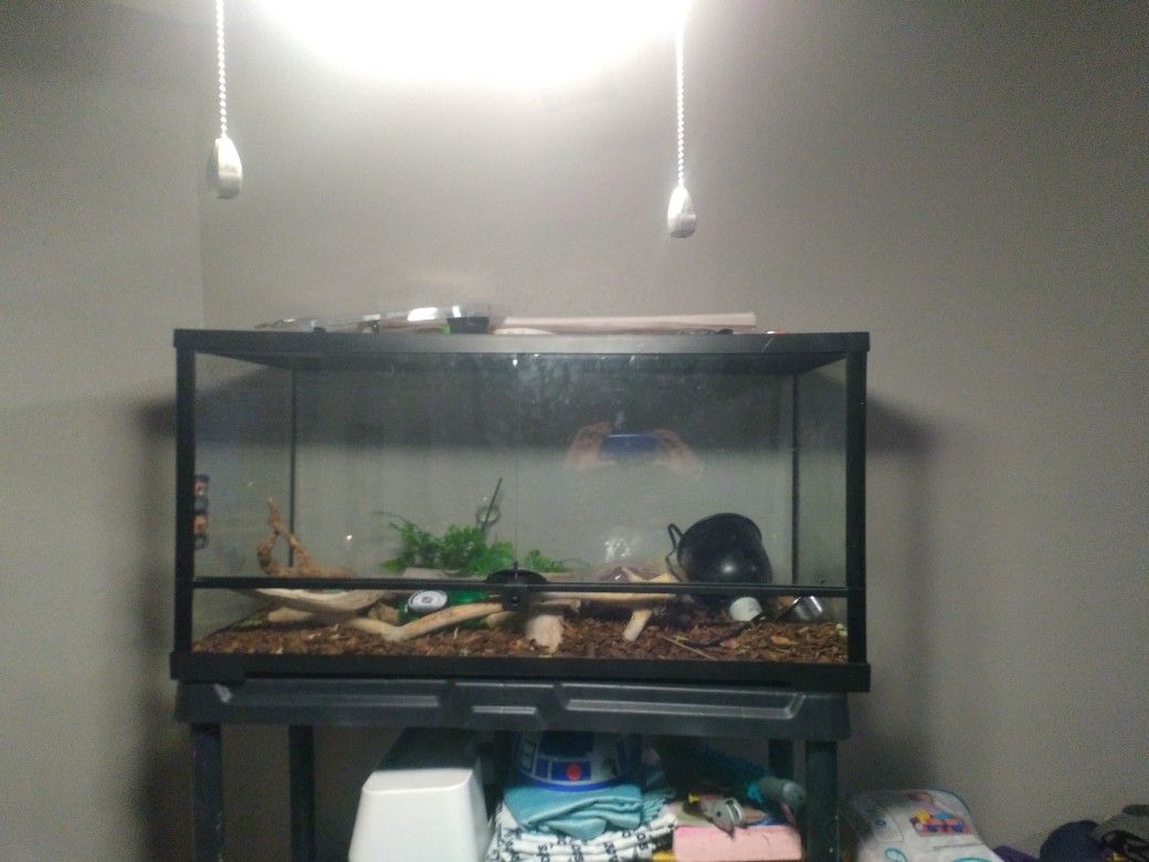 Iguana Cage And Lamp And Accessories