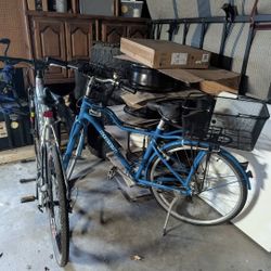 Cruiser Bike With 2 Baskets - Blue Bike With Leaf Details 