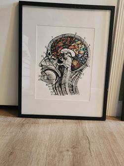 Head Anatomy Print With Frame