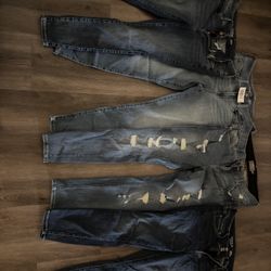 Torrid Jeans