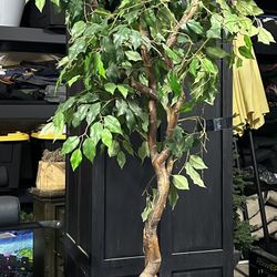 Faux Tree - Ficas