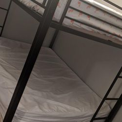 Full on Full: Size Bunk Beds