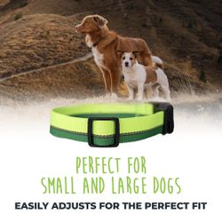 Mighty Paw Reflective Dog Collar | Premium High Visibility Collar with Reflective Stitching. Weatherproof, Heavy Duty Hardware, Stylish Colors and Des