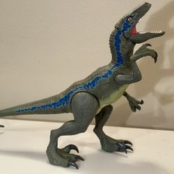 Jurassic World Super Colossal Velociraptor Blue is approximately 18-inches high and over 3 ½ feet long.