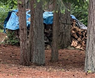 Firewood Pine & Madrona