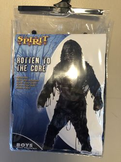 Boys Halloween costume