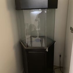 Fish Tank Octagon 30 Gallon 