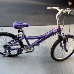Like New - Trek Girls Mountain Bike - 20" Wheels - Great Condition