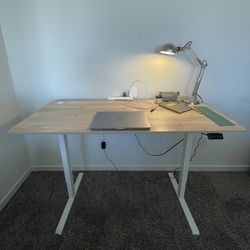 BANTI 55'' Electric Height Adjustable Standing Desk