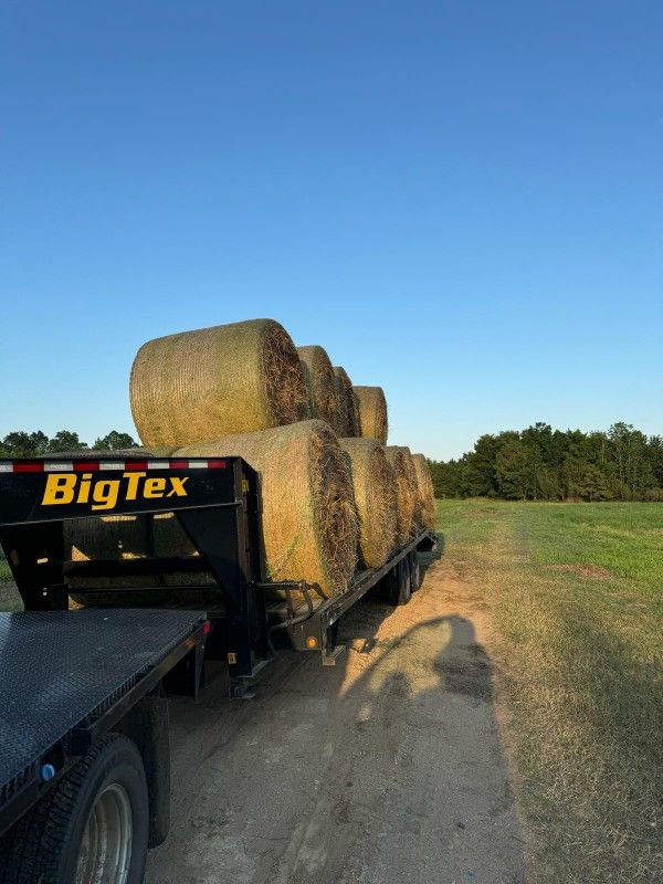GOOD HAY FOR SALE