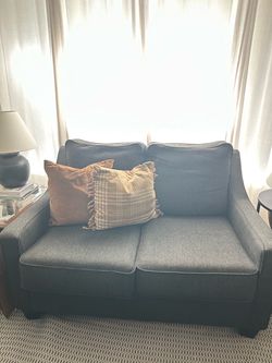 Gray Fabric Loveseat Sofa