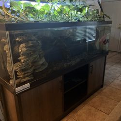 120 Gallon Fish Tank. 