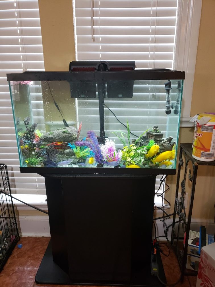 Fish tank