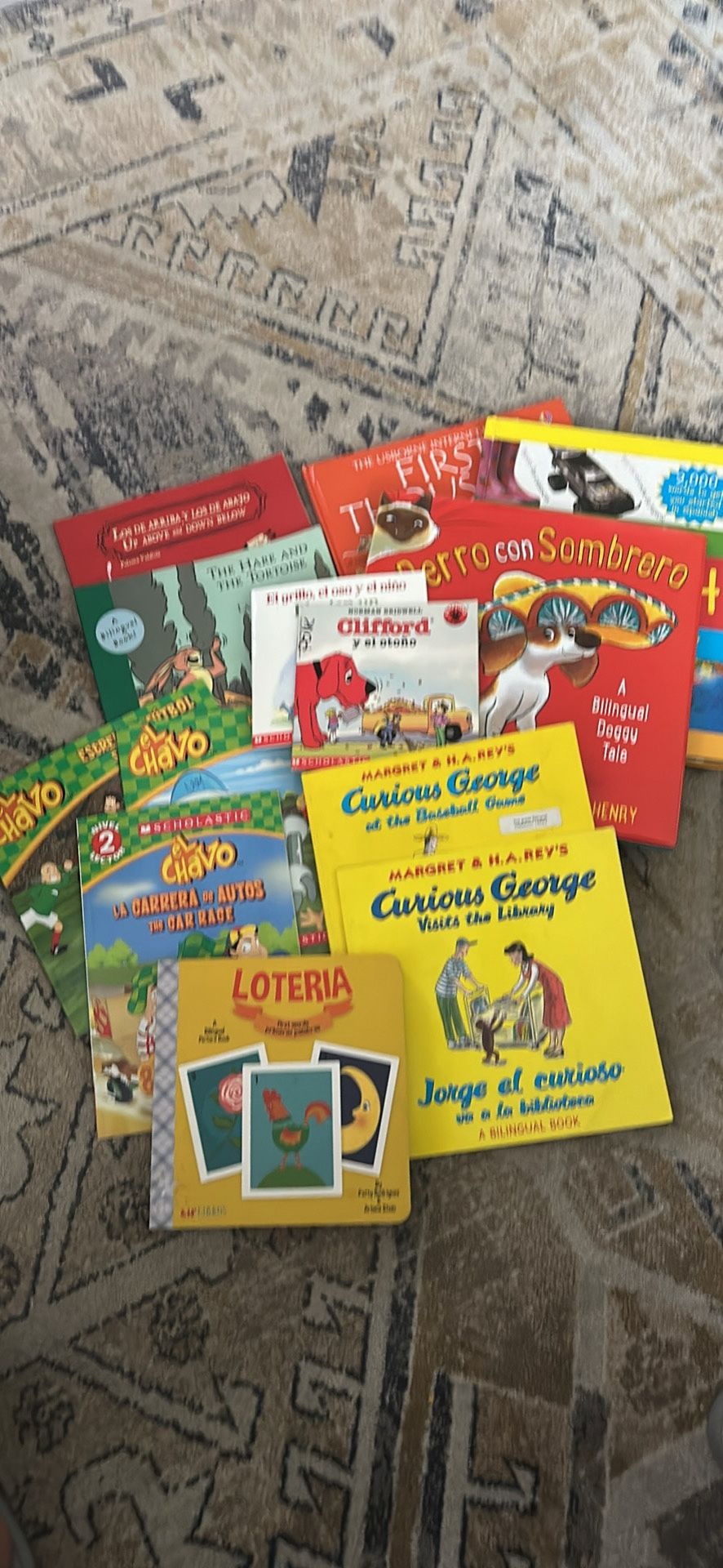13 Bilingual Books