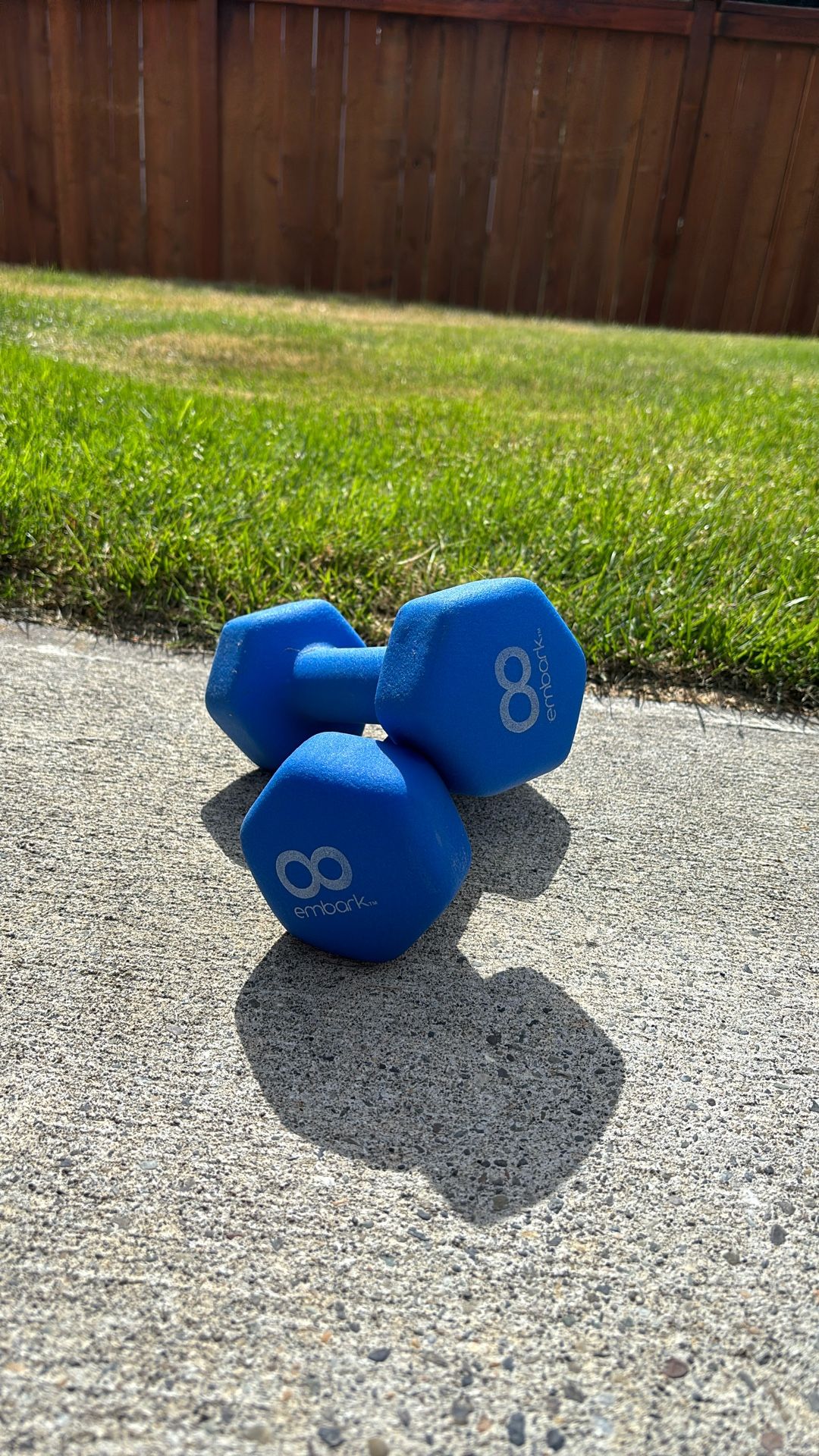 Pair 8# Weights