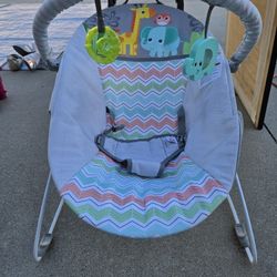 Baby Bouncer