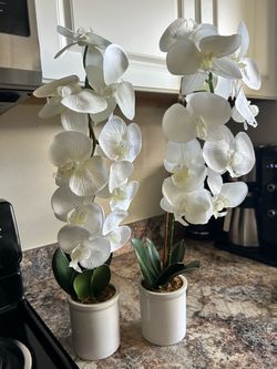 Set of 2 Artificial White Orchids – 24” – Target